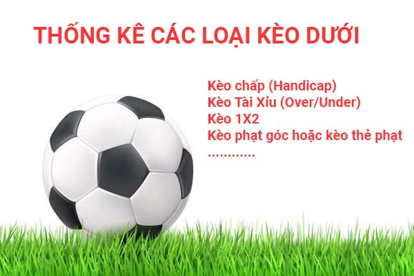 Kèo dưới là gì? Thống kê các loại kèo dưới phổ biến trong bóng đá