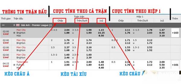 Tỷ lệ kèo bóng đá là gì? Hướng dẫn chi tiết cho người mới bắt đầu