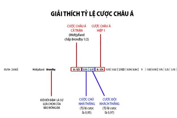 Tỷ lệ kèo 1x2 là gì? Khái niệm và định nghĩa 2